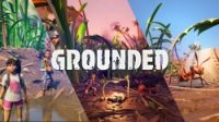 Grounded играть по сети и интернету Онлайн