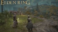 ELDEN RING играть по сети и интернету Онлайн / ЛАН