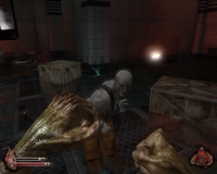 ���������� ���� ������ �� ���� � ��������� ���